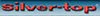Silver Top Logo